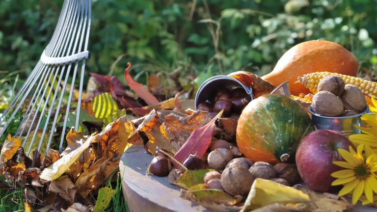 Layer your compost bin - autumn