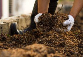 Green Waste Compost: A Guide to Recycling Organic Waste