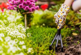 Spring Gardening Tips and Composting Essentials for Waste-Wise Gardeners