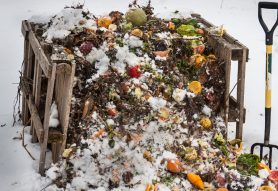 January Composting Tips: A Fresh Start for Your Garden
